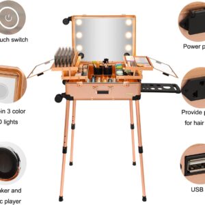 Extra Large Aluminum Trolley Makeup Train Case with Built-in LED Lights Professi