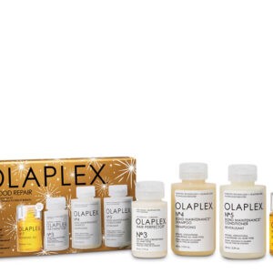 OLAPLEX in good repair kit